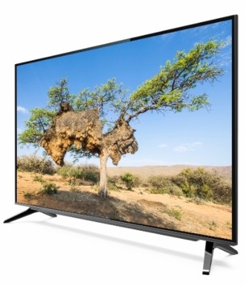 Google TV DLED Quantum Dot Film và hỗ trợ Vesa Mount