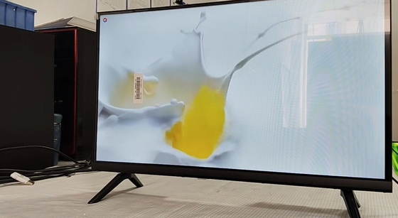 24 inch T2S2 Digital TV LCD kích thước nhỏ không có hệ điều hành với đa phương tiện